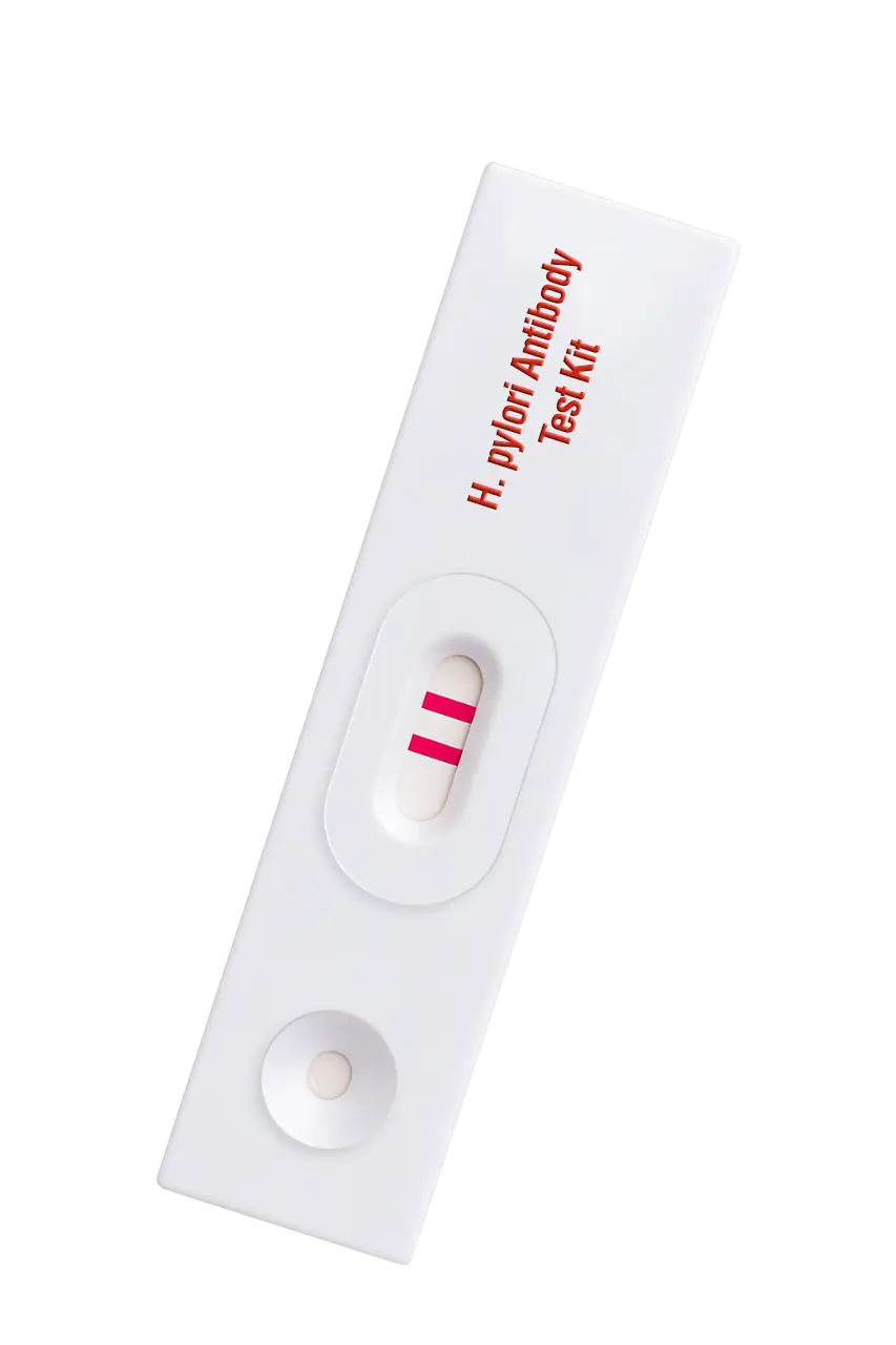 H-Pylori Antibody